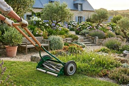 Tondeuse manuel pelouse jardin