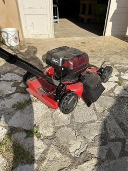 image client 2 Tondeuse à Gazon sans fil Einhell GE CM 36-48 Li M Solo