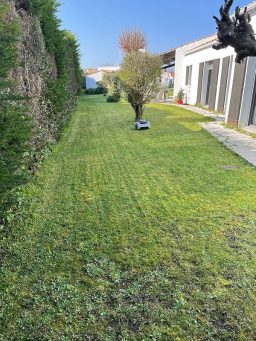 image client 3 Robot Tondeuse Navimow Segway i208 LiDAR