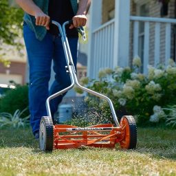 Image du fabricant 2 du American Lawn Mower tondeuse 4 lames