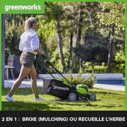 Image du fabricant 2 du Greenworks G40LM41 tondeuse gazon