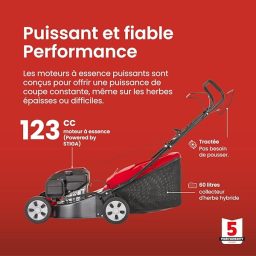 Image du fabricant 2 du Mountfield SP42 tondeuse thermique