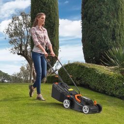 Image du fabricant 2 du Tondeuse WORX 36V sans fil