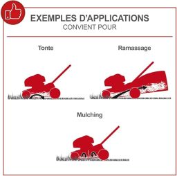 Image du fabricant 3 du Scheppach Tondeuse à Gazon MS161-46