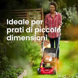 Image du fabricant 7 du Mountfield Tondeuse Rotative HP41